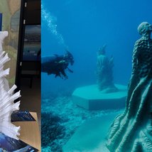 Ocean Sentinels - Inspiring Change Through Art