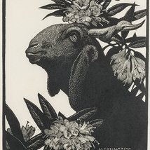 Lionel’s Place - Lionel Lindsay from the Maitland Regional Art Gallery Collection