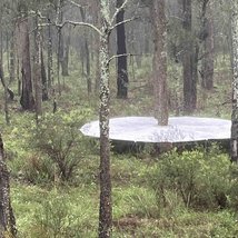 LANDRELATIONS Tricia Flanagan