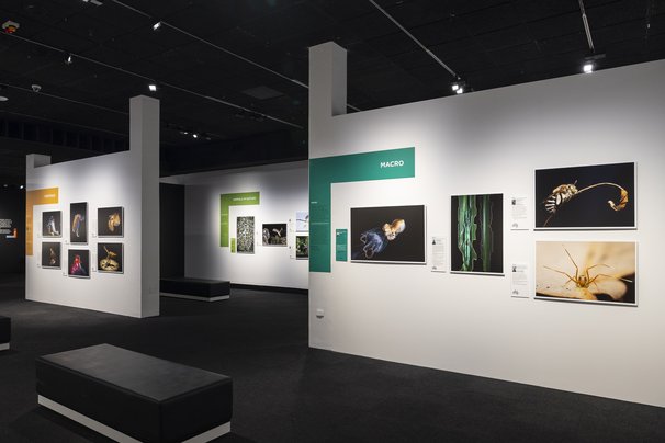 2025 Exhibition at the South Australian Museum 