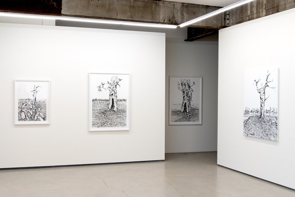 Installation image at Utopia Art Sydney