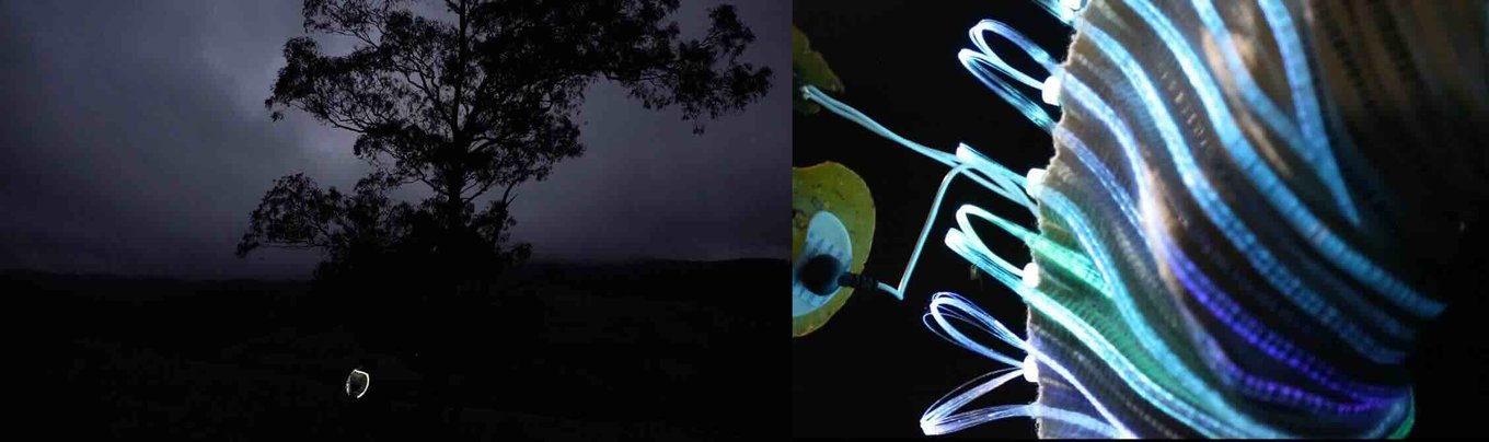 TETE (Tree Energy Translator Empath)